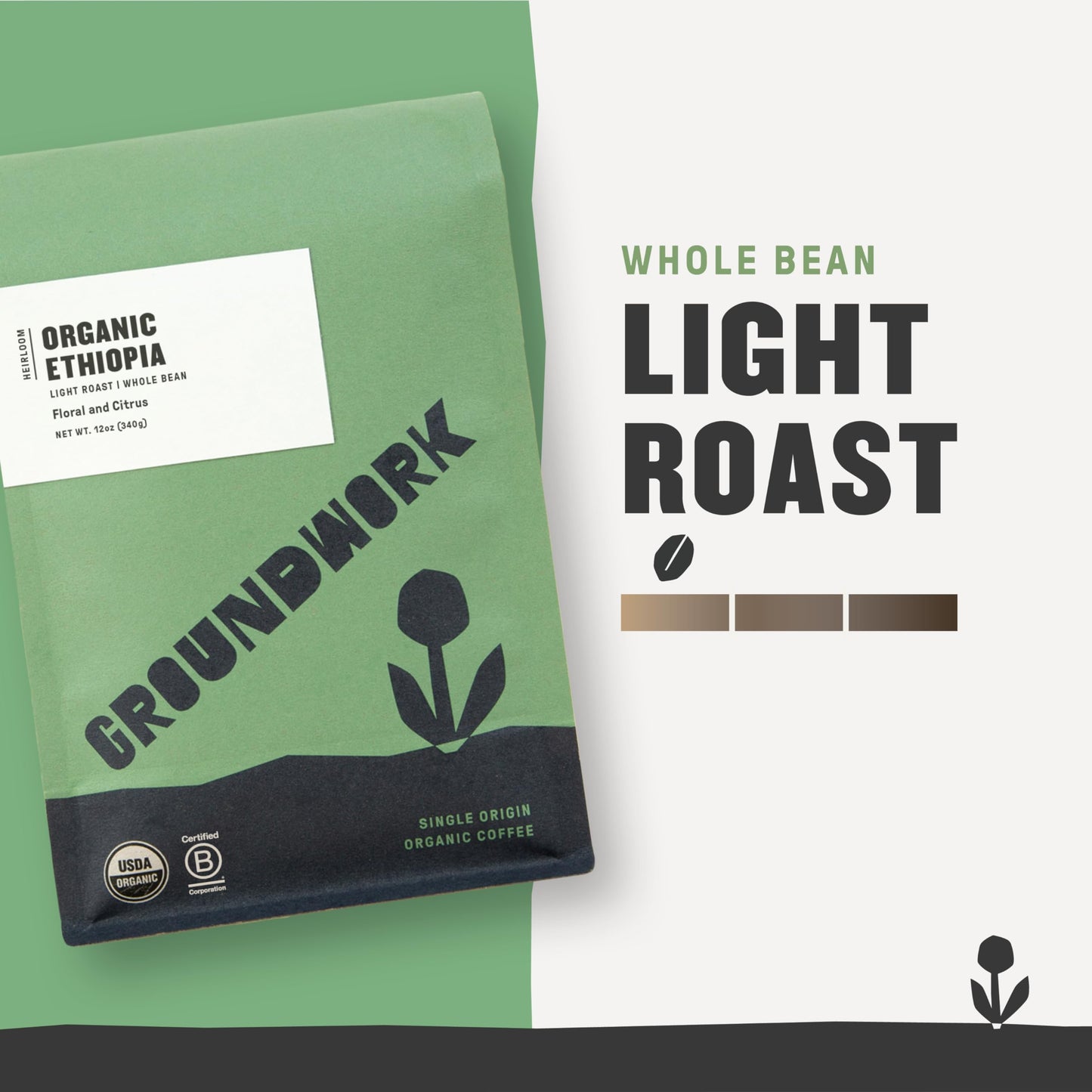 Groundwork Ethiopia Heirloom Blend Whole Bean Coffee Light Roast, 12oz, Certified Organic, Black