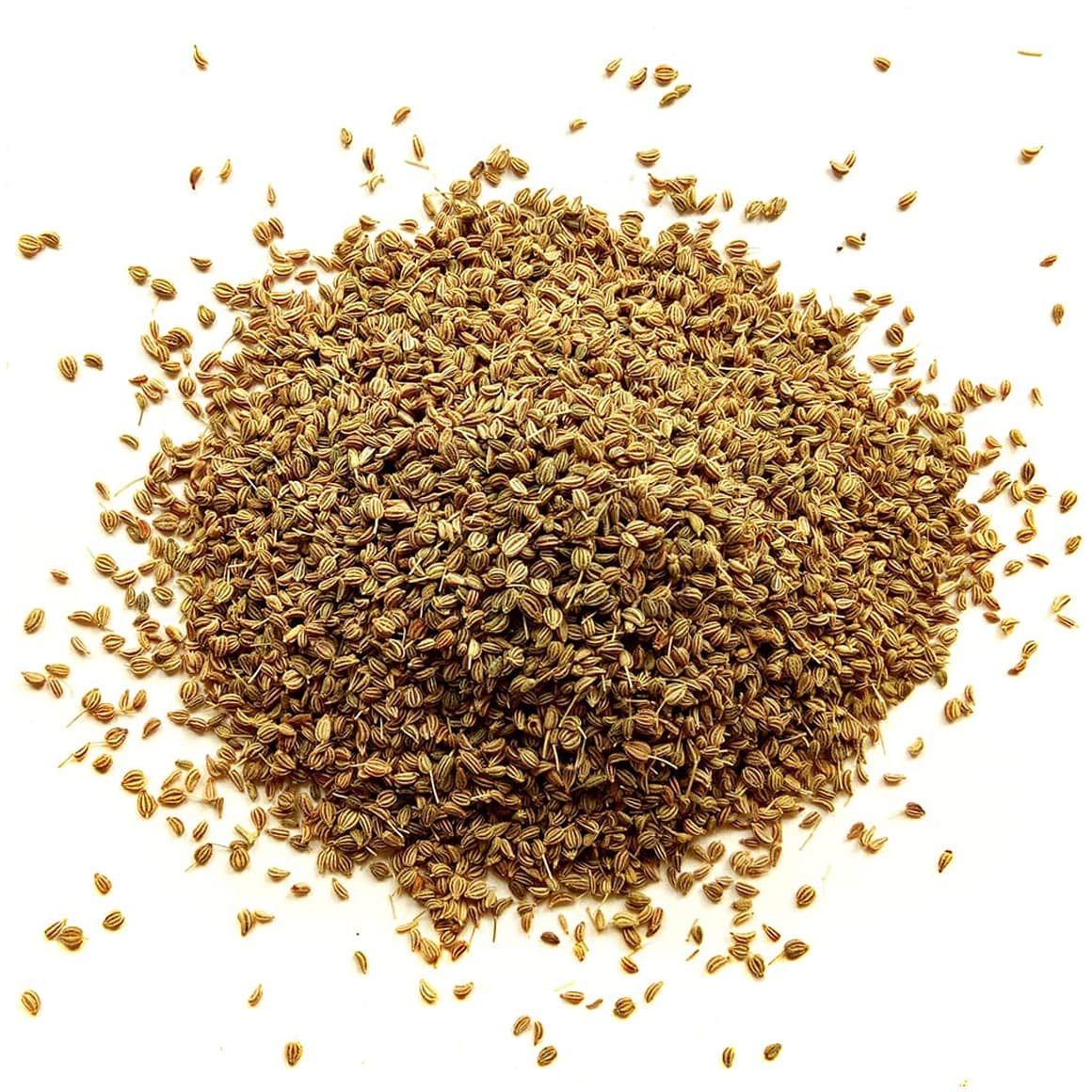 Food to Live Whole Celery Seeds, 1 Pound - Dried Spice, Vegan, Kosher, Bulk. Intense Flavor. Rich in Iron, Zinc, Fiber. Perfect