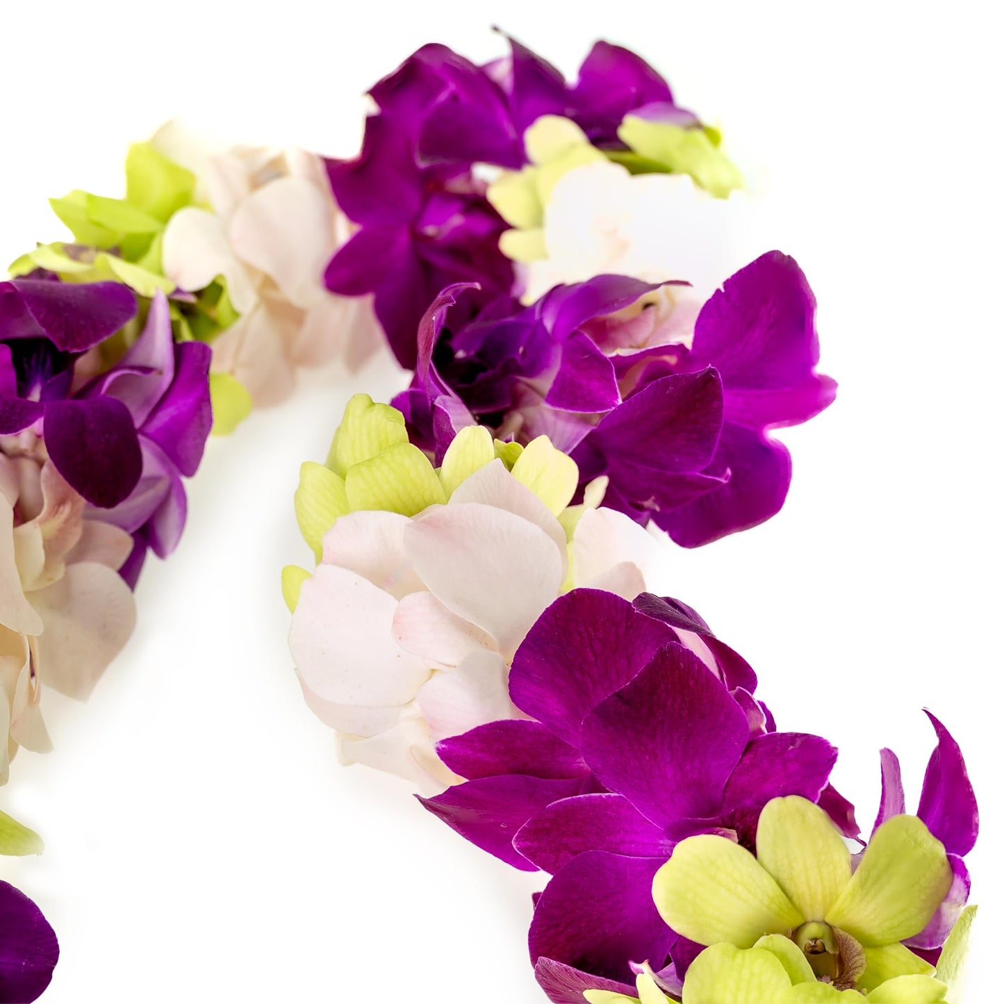 Generic Graduation Leis, Fresh Cut Orchids Flower Leis, Long-Lasting Double Leis Made Of Fresh Cut Purple, Pink And Green Orchid