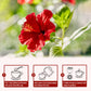 TEARELAE Hibiscus Flowers Loose Leaf Tea, Non-GMO, Caffeine-free, 5oz, Dried Edible Flowers, Country of Origin Nigeria