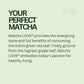 matcha LOVE Matcha + Green Tea, Unsweetened, 8 oz, Pack of 12 - Premium Quality Beverage