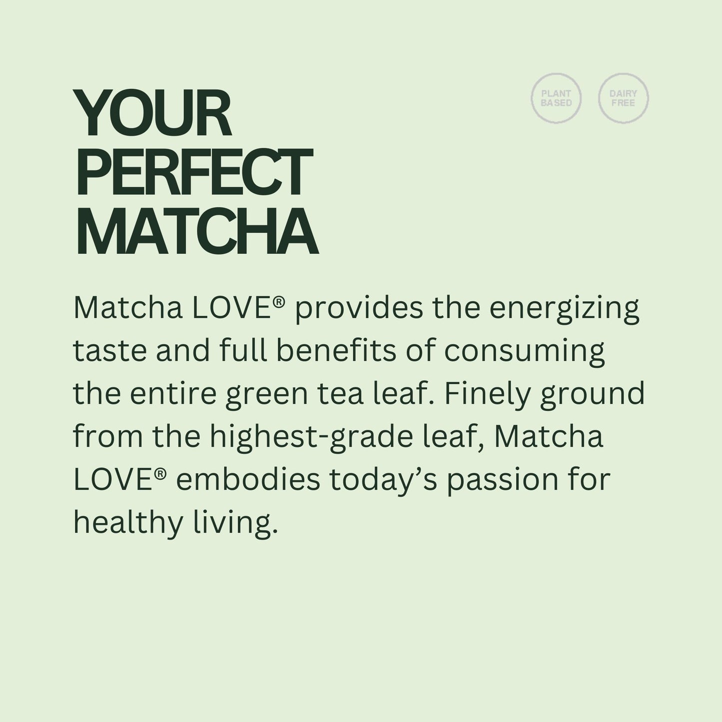 matcha LOVE Matcha + Green Tea, Unsweetened, 8 oz, Pack of 12 - Premium Quality Beverage