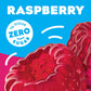 Jell-O Raspberry Sugar-Free Gelatin Mix (0.3 Oz Boxes, Pack Of 6)