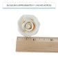Global Sugar Art Enhanced Rose Sugar Cake Flowers, White Small Unwired, 12 Count By Chef Alan Tetreault