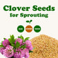 Food To Live Clover Seeds For Sprouting, 8 Ounces - Pure, Vegan, Kosher, Bulk. Edible Seeds. Rich In Vitamin C. High Germitation