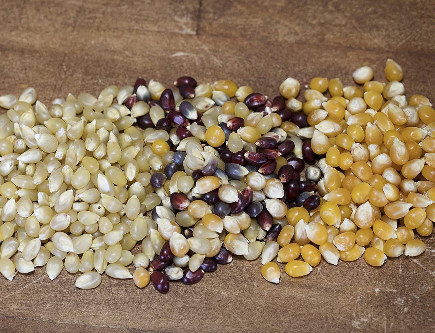 Amish Country Popcorn | 3-2 lb Bags | 6 lb Burlap Variety Set | Medium White - Medium Yellow - Rainbow Popcorn Kernels | Old Fas