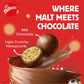 Maltesers 25X37G