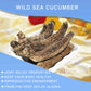 DABC OAK LAND Alaska Red Sea Cucumber, Grade AAAA, 16 oz, Sun Dried, Nutritious, Rich in Protein, Vitamins & Minerals, Medium Gift Bag