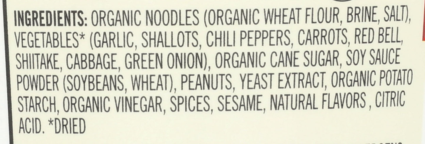 Dr. McDougalls Spicy Kung Pao Asian Noodles 2 oz
