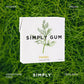 SIMPLY Gum Fennel, Plastic-Free Natural Chewing Gum, 6 Pack (90 Pieces) | Vegan, Kosher, Non GMO, Aspartame Free and Sorbitol Fr