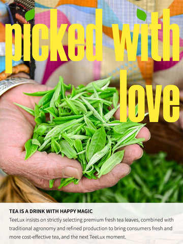 Teelux Matcha Green Tea Bags, Classic Premium Japanese Matcha + Sencha Green Tea, Super Antioxidant, Zero Calories, Caffeinated,