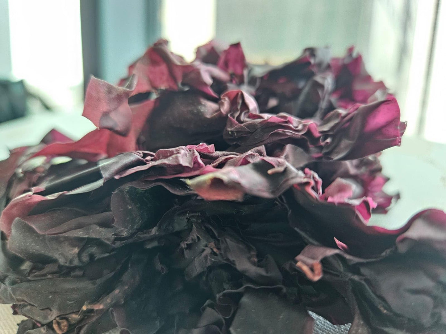 Natural Zing Whole Dulse Leaf | (Raw, Wildcrafted) | 4 Oz, 8 Servings | Iodine | Minerals | Sea Vegetable | Soft & Chewy | Clean