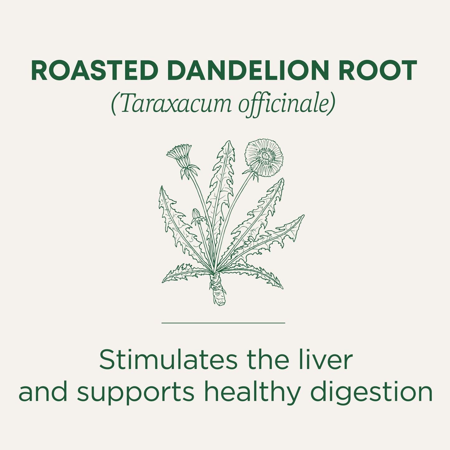 Traditional Medicinals Organic Roasted Dandelion Root Tea, 96 Bags, Supports Kidney Function & Healthy Digestion, Pack of 6