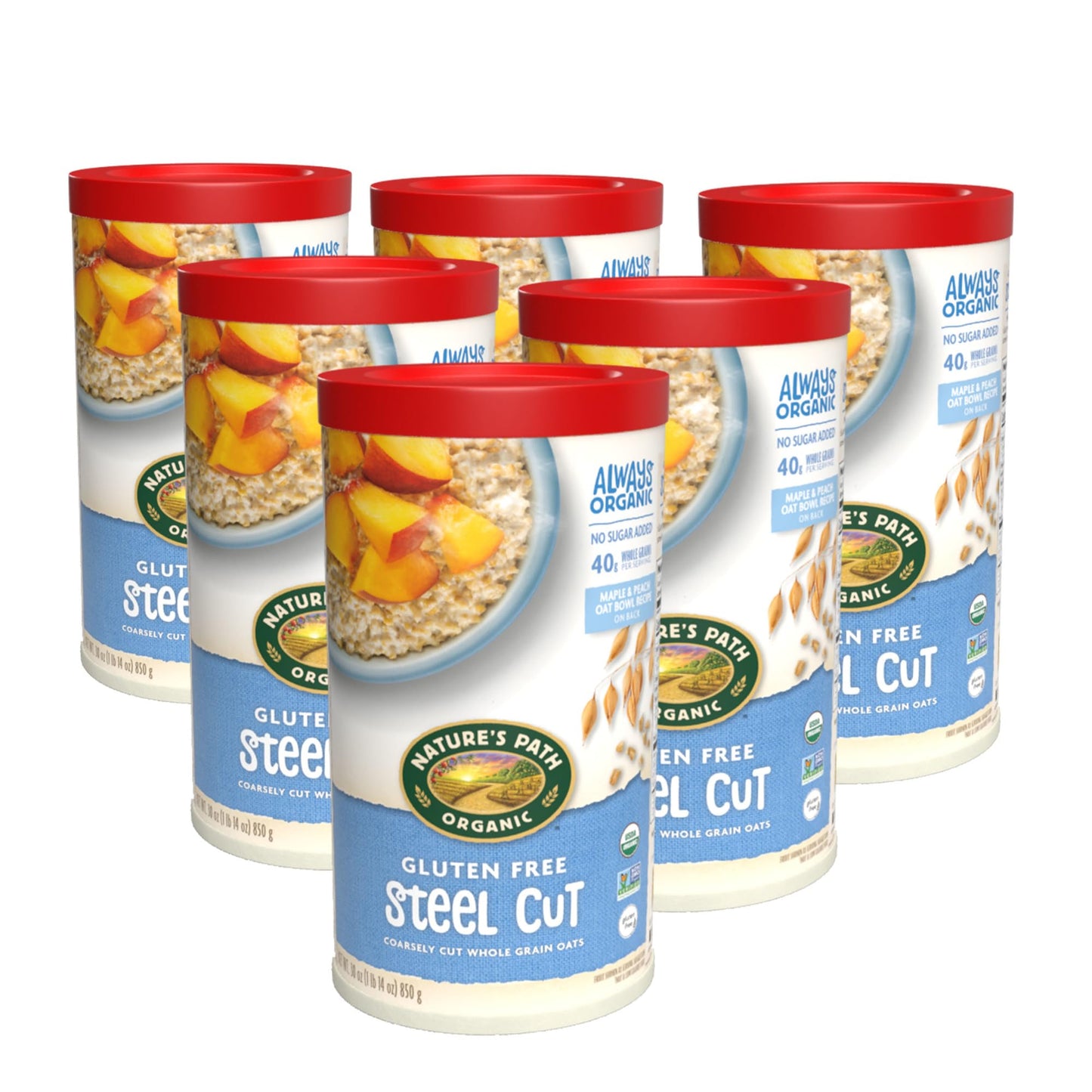 Nature's Path Organic Gluten Free Steel Cut Whole Grain Oats, 30 Ounce Canister (Pack of 6), Non-GMO, 40g Whole Grains, 5g Plant