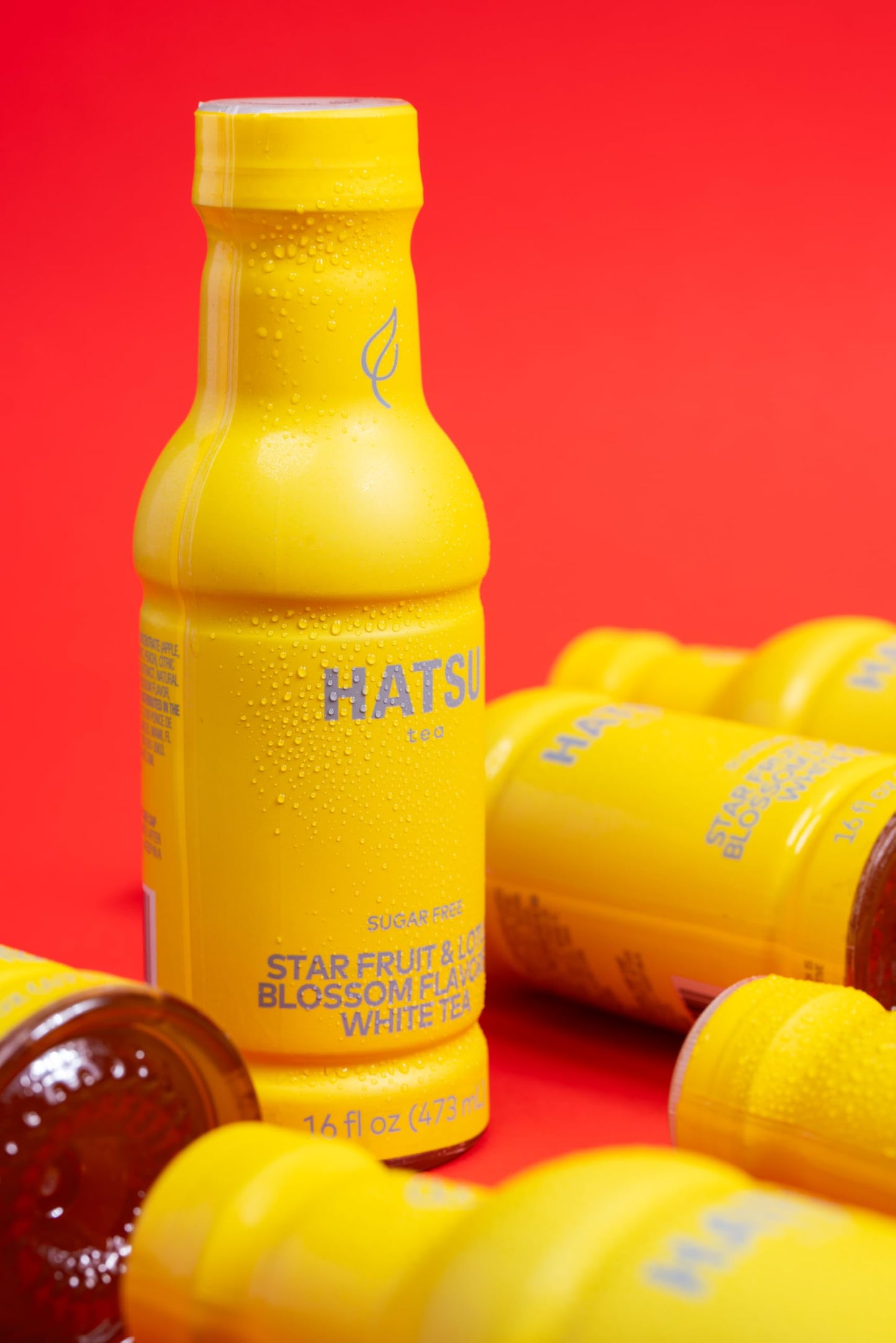 Hatsu Sugar-Free White Tea - Star Fruit & Lotus Blossom, Low-Calorie Iced Tea, 16.9 fl oz Bottles, Pack of 12
