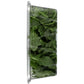 Satur Farms Wild Arugula, 5 oz Clamshell