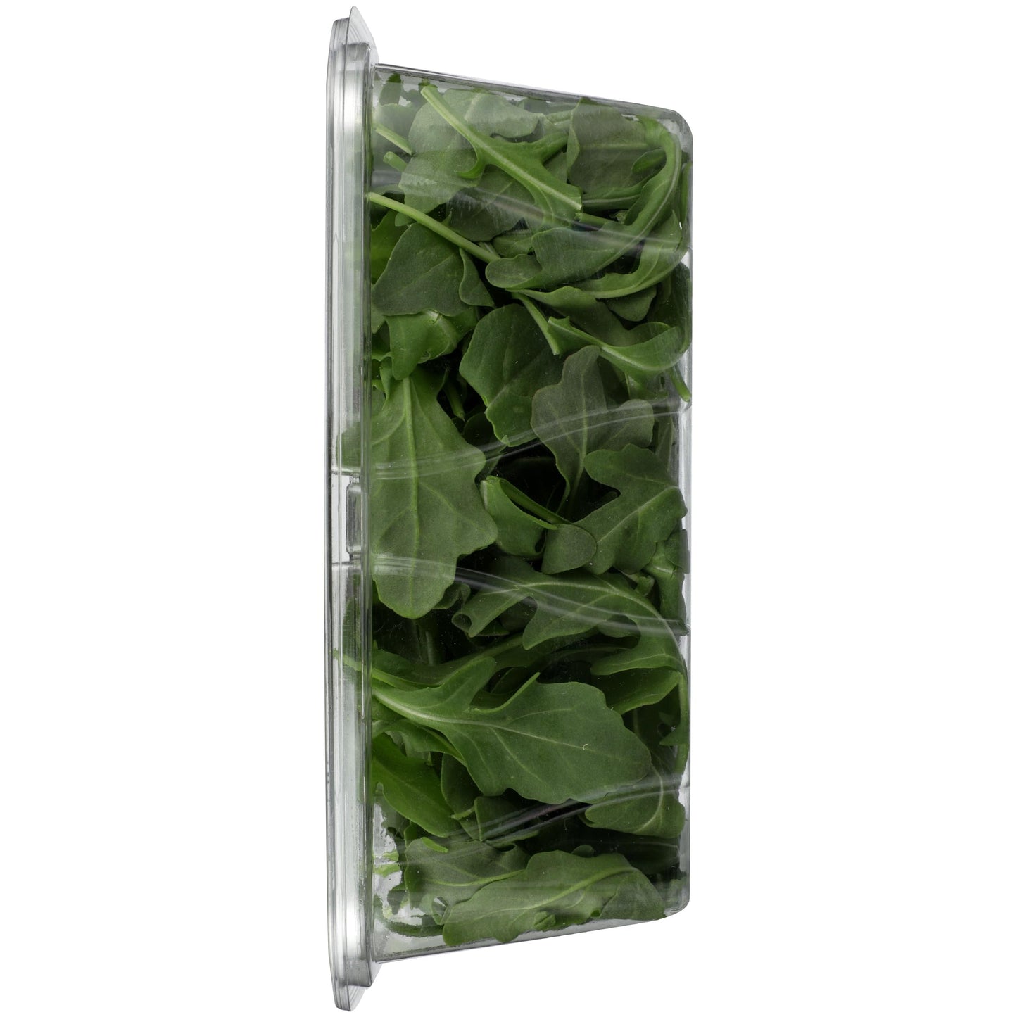 Satur Farms Wild Arugula, 5 oz Clamshell