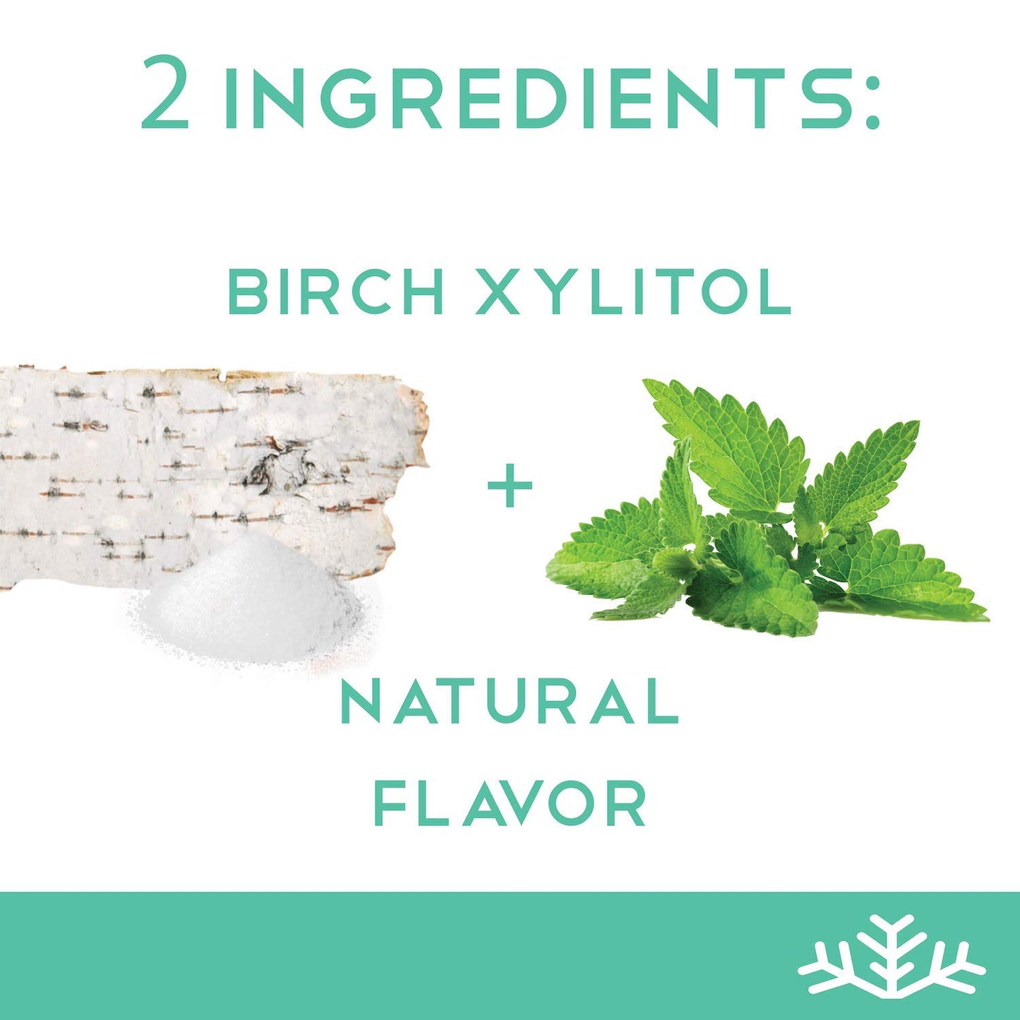 Wintergreen Keto Xylitol Candy Chips - Sn 1.5Oz Tin - Sugar-Free Candy With Only 2 Ingredients | Low Carbs, Diabetic-Friendly, N