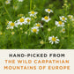 Wild Bliss Organic Chamomile Tea - Caffeine Free Herbal Support - 20 Plant Based Tea Bags