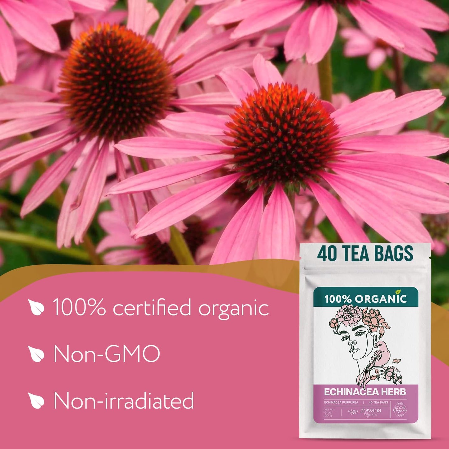 Zhivana Organics Echinacea Tea - Organic Herbal Infusion, Caffeine-Free, 40 Tea Bags