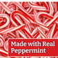 Peppermint Mini Candy Canes (96 Individually Wrapped Candies) Bulk Christmas Candy | Bundled With Free Sameday Shippers Fun Stic