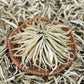 SANRAN Silver Needle White Tea Loose Leaf, Premium Yunnan Bai Hao, Low Caffeine, 5.29oz
