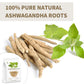Tempoak Ashwagandha Root Herbal Tea Bags - 60 Caffeine-Free Bags, Pure & Natural