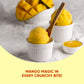STAR CANDIES Freeze Dried Mango Ice Cream | Crunchy Camping Snack | 3 Pack
