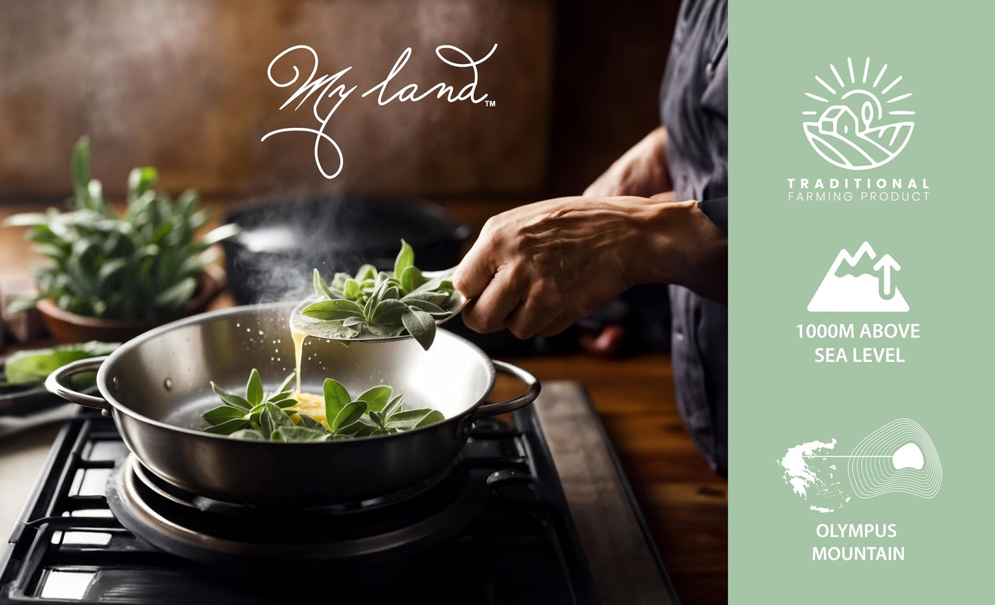 MY LAND Organic Sage Tea, Loose Leaf, 1.76oz, Dried Sage Leaves from Greece