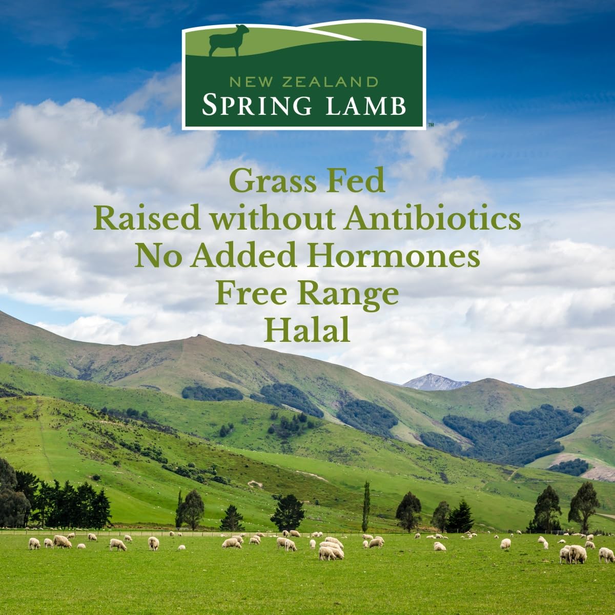 New Zealand Spring Lamb, Fresh New Zealand Ground Lamb Brick, 1 lb