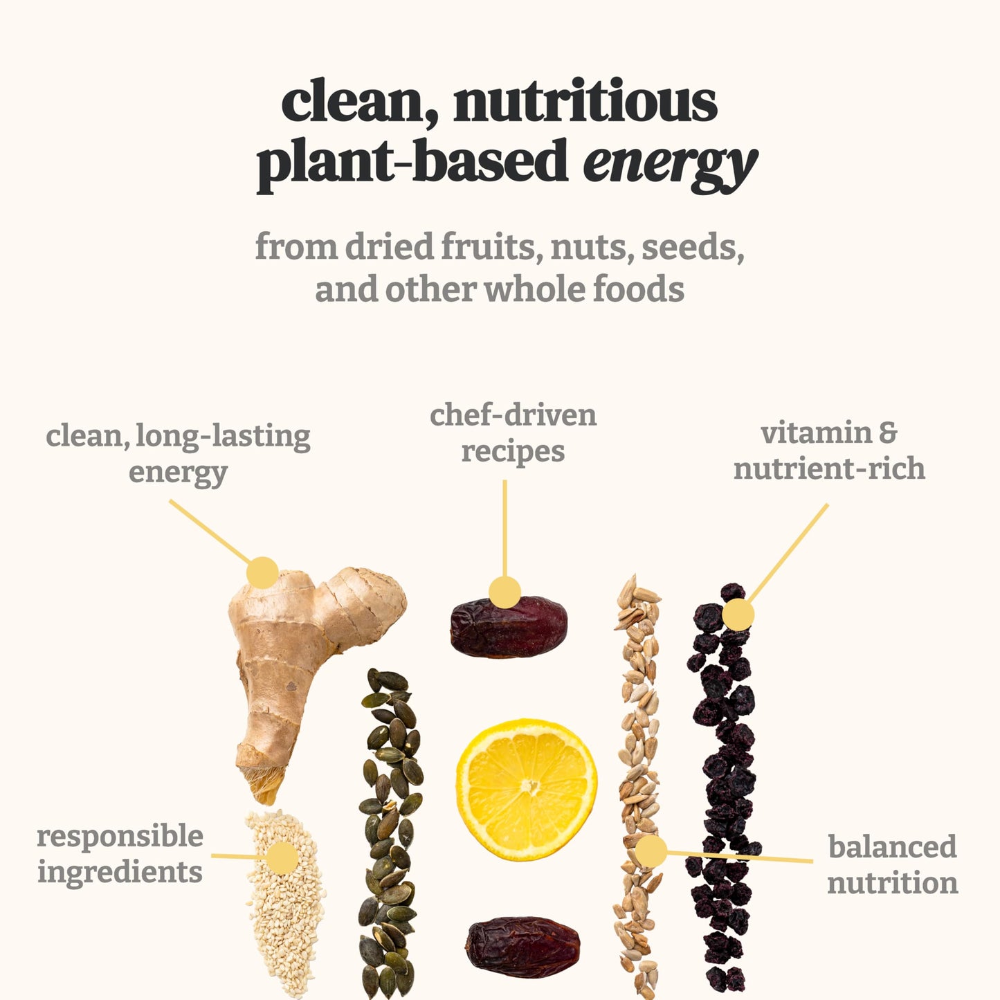 Patter Bar Energy Bars - Vegan, Gluten Free, No Added Sugar, 12-Pack Variety