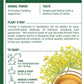 Traditional Medicinals Organic Fennel Herbal Tea, Promotes Digestive Health, (Pack Of 2) 32 Tea Bags Total
