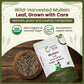 Organic Way Mullein Leaf Herbal Tea - Cut & Sifted, 8 Ounce, Organic, Non-GMO, Kosher Certified, Wild-Harvested from Albania