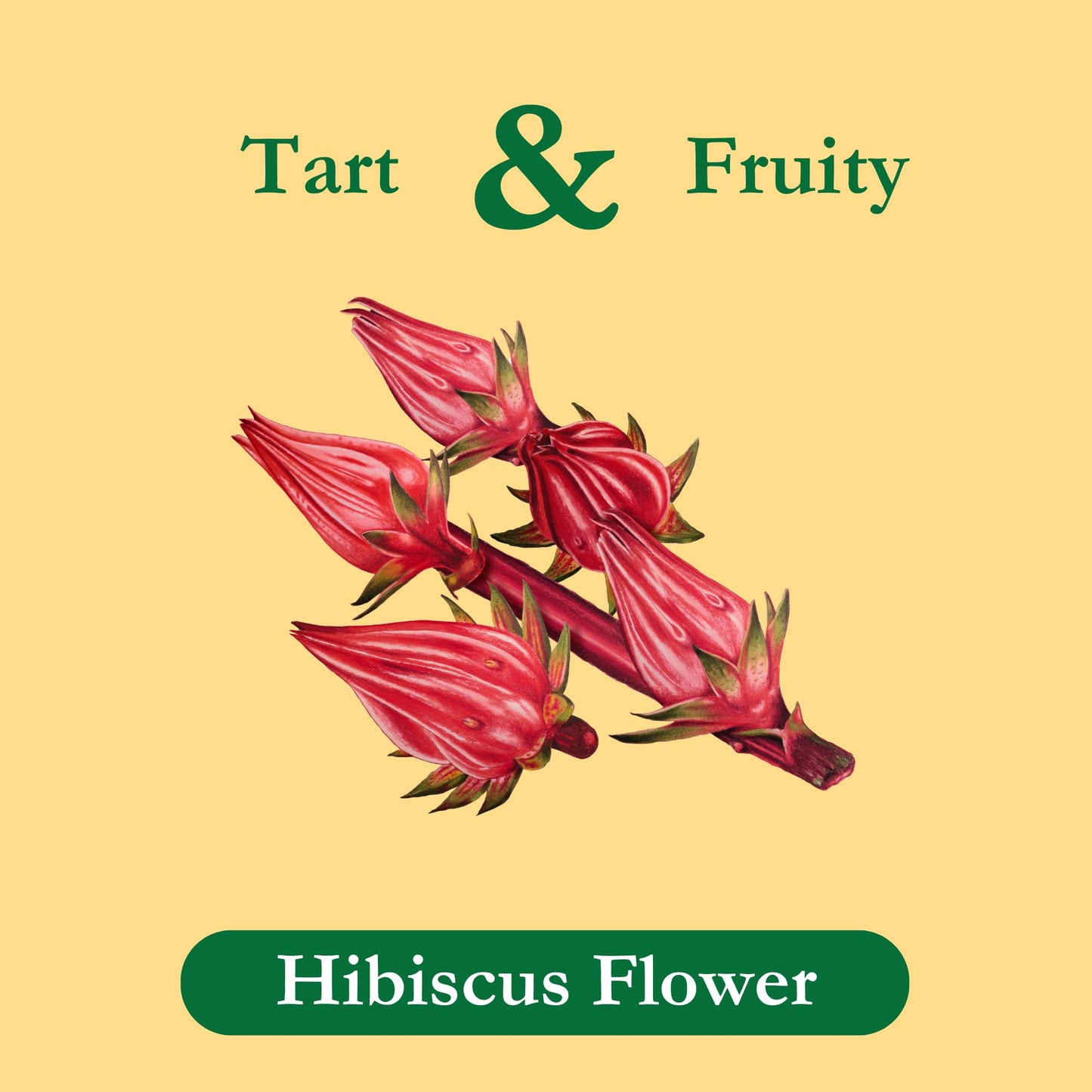 Tadin Hibiscus Herbal Tea, Caffeine Free, 24 Tea Bags, Pack of 6 Boxes
