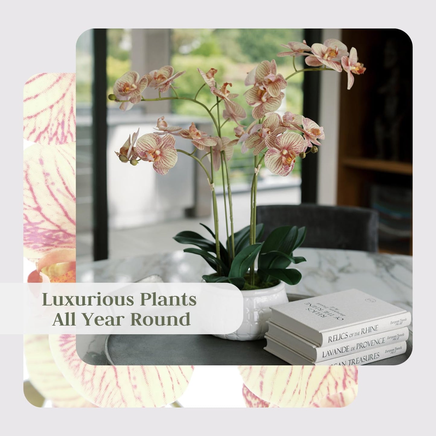 Cg Hunter Faux Orange Orchid Plant, Premium Artificial Indoor Flower Display Stands 23   , Beautiful Sculptural Blooms That Last