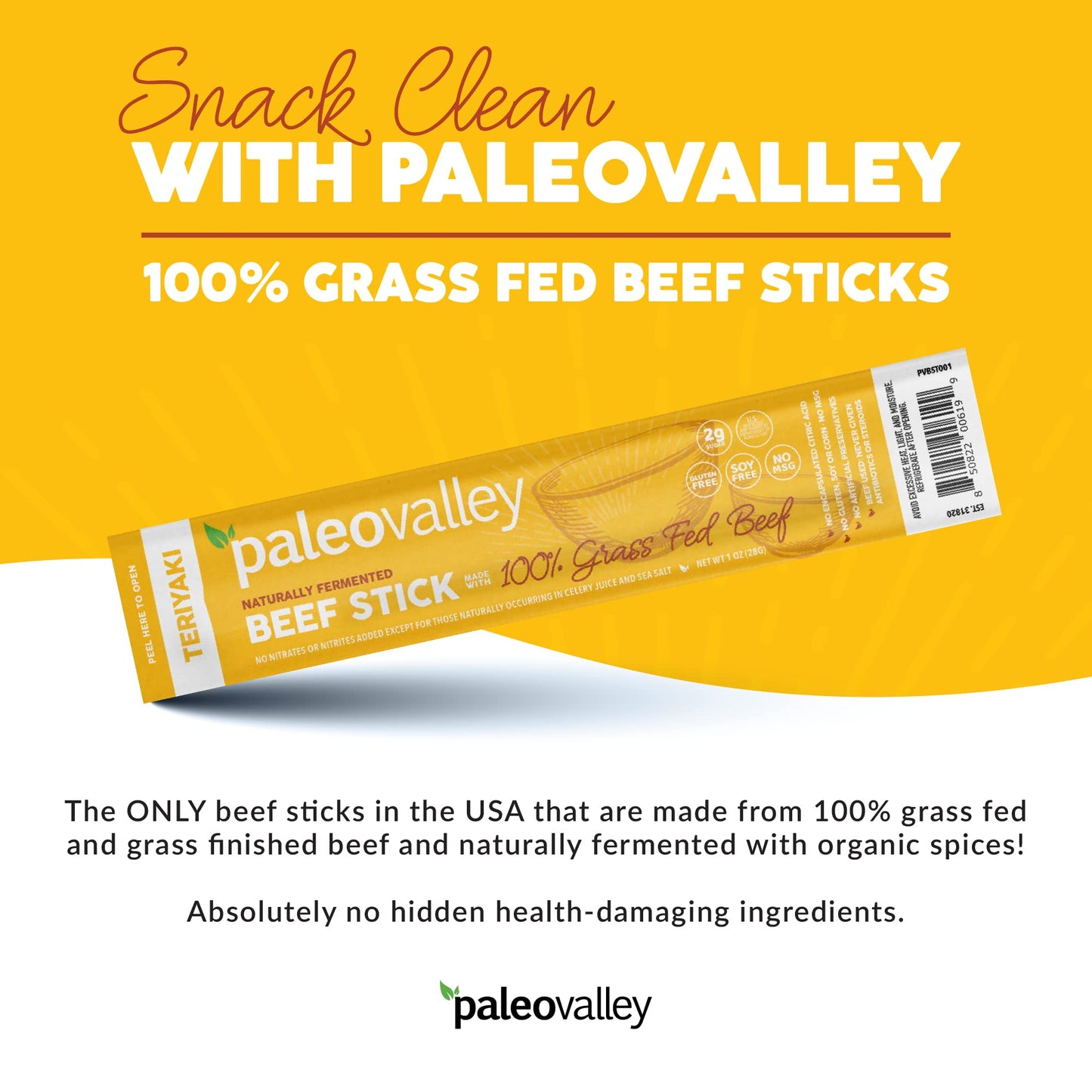 Paleovalley Teriyaki Beef Sticks - Gluten Free, High Protein Snack - 10 Count