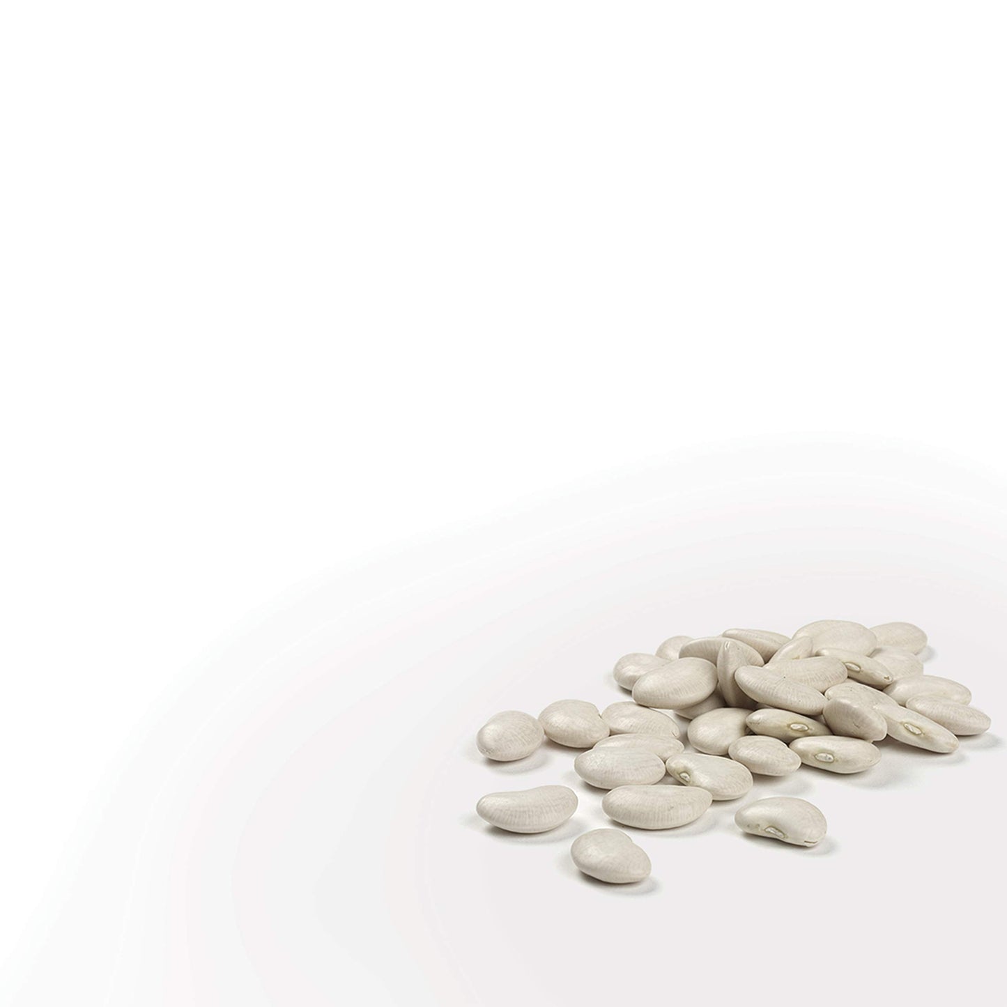 Camellia Brand Dried Cannellini Beans, 1 Pound (Pack of 12)