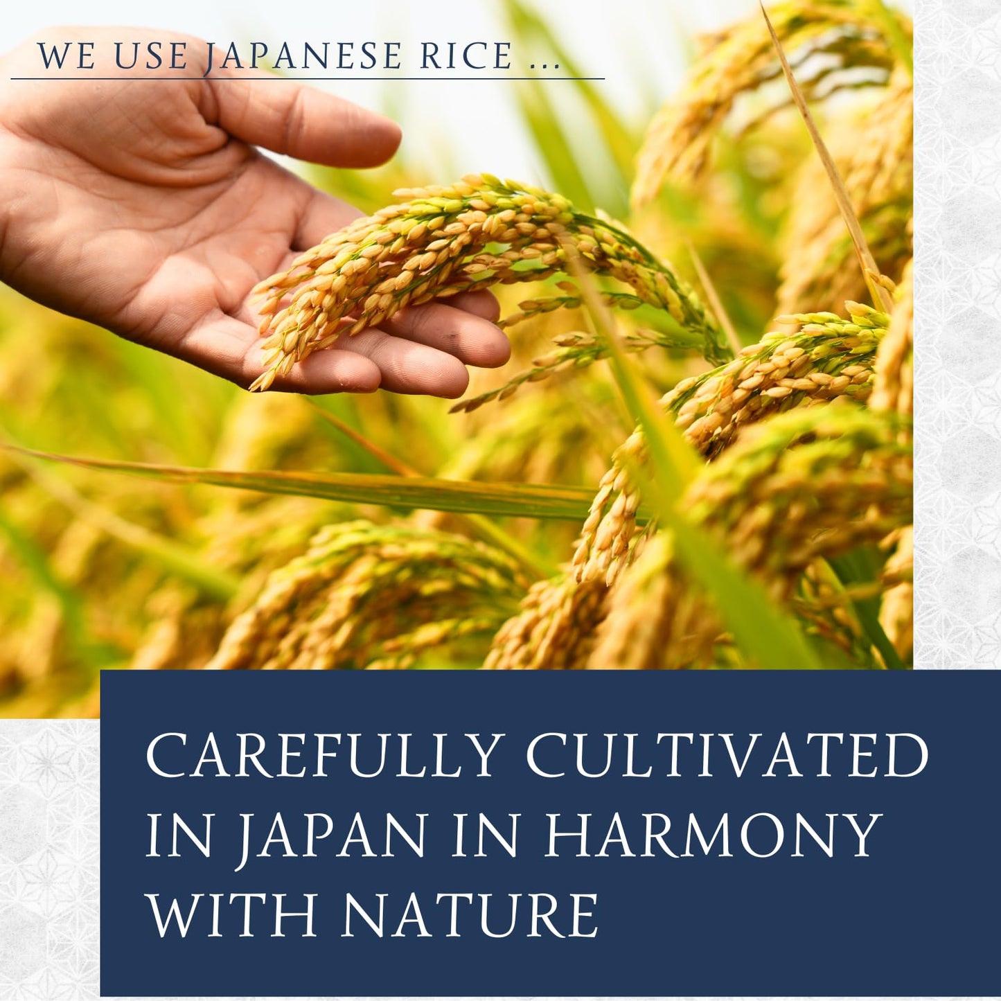 Dried rice koji 28.2oz (800g) - Carefully made in Japan, miso, shoyu, shio-koji, molted rice, ORYZAE (800g)