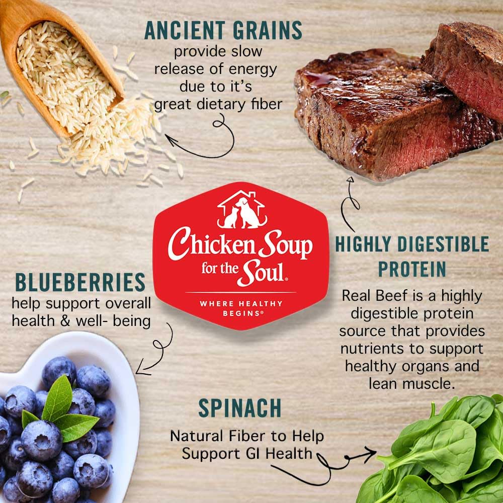 Chicken Soup For The Soul All Natural Enhanced Mature-Themed Dry Dog Food, Real Meat First Ingredient, No By-Products, Supports Gut & Immune Health, Beef & Brown Rice, 4.5Lb