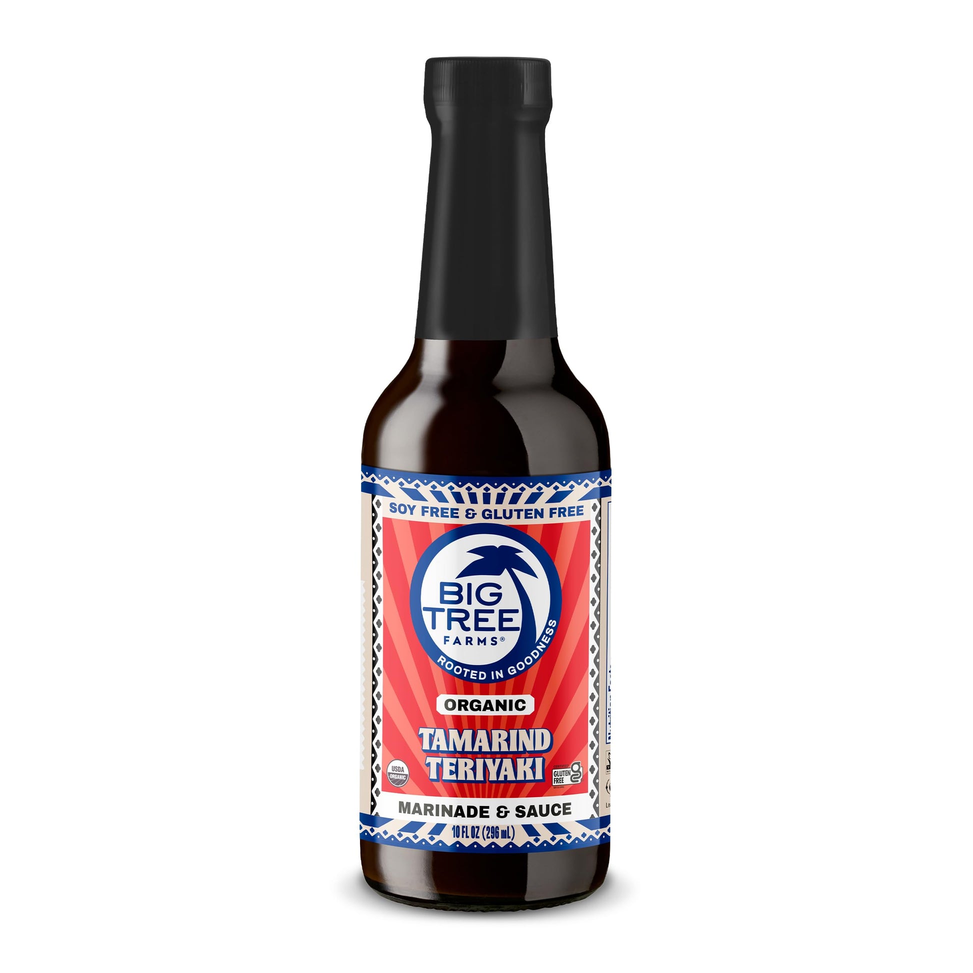 Big Tree Farms Organic Coco Aminos - Liquid Coconut Aminos, Soy-Free Sauce, Low Sodium, Soy Alternative, Gluten Free, Kosher, Marinade & Sauce, Non-Gmo - Teriyaki, 10 Fl Oz (Pack Of 1)
