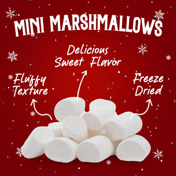 Freeze Dried Marshmallows Mini Individual 24 Fun Size Packs - Hot Chocolate Marshmallows Candy For Christmas Toppings, Hot Cocoa