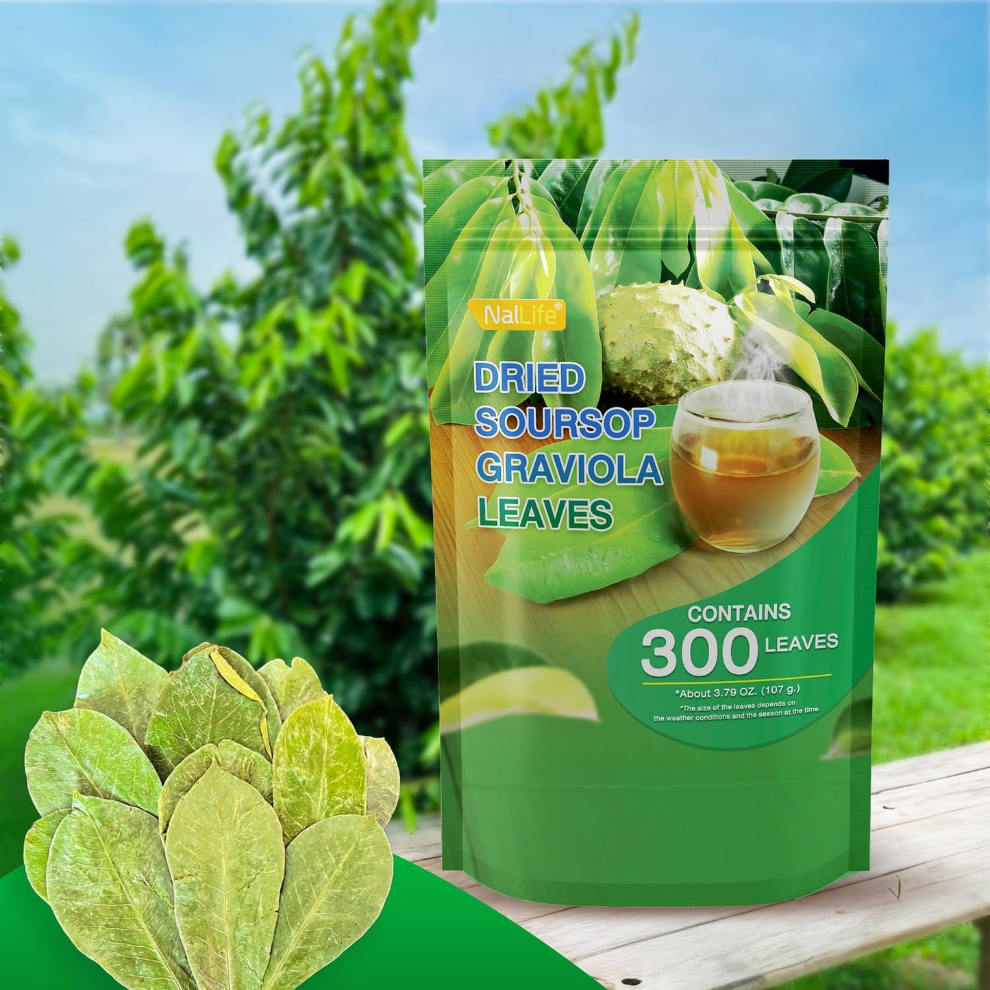 Nallife Soursop Graviola Leaves For Tea 300 Leaves