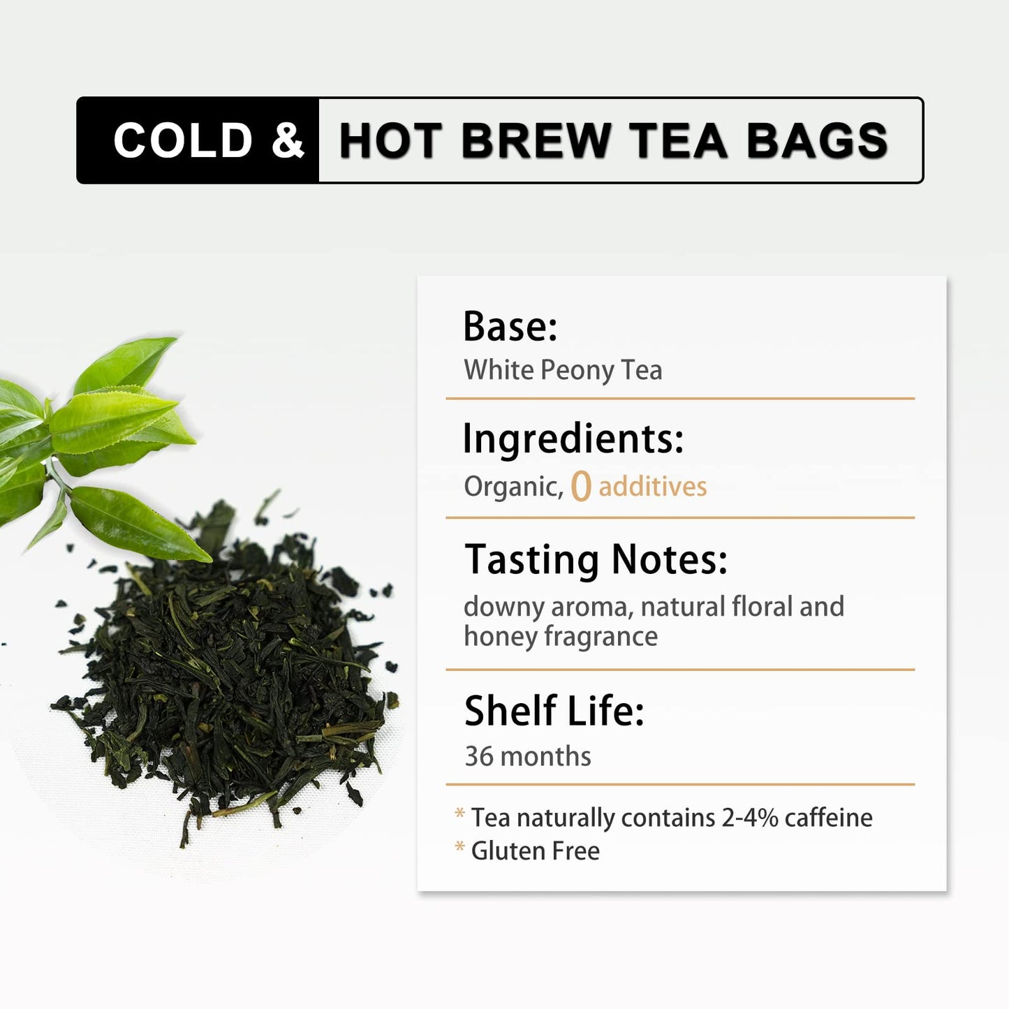 RIANTEA Organic White Tea Bags - 36 Count, Biodegradable Sachets, Full-Leaf, Eco-Conscious Iced Tea, Refreshing Flavor