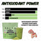 Renude Chaga Matcha - Ceremonial Grade Matcha Superfood Drink Mix With Adaptogens - Mushroom Matcha - Keto, Vegan, And Sugar Fre