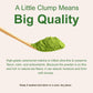 Organic Ceremonial Grade Matcha Powder  100g | 100 Servings | enhanced First Harvest Authentic Japanese Origin | 100% Pure Barista-Grade Sugar-Free Matcha Green Tea For Latte  Beverage & Baking