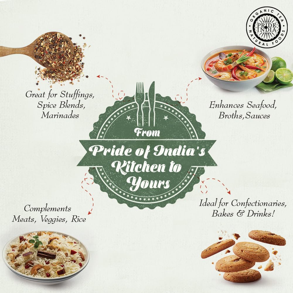 Pride Of India - Pack Of 6 - Fennel Seed Whole - Gourmet Spice - Fresh & Aromatic - Mouth Freshener - Gmo/Gluten Free - Flavorin