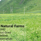 Premium Astragalus Root Tea Slices/12 Oz(339G),Featured ?? Pure And Natural,No Additives,Cut And Sifted Herbal Tea.