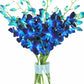 Eflowerwholesale - Premium Cut Blue Orchids (10 Stems Orchid With Rhinestone Mesh Ribbon Vase)