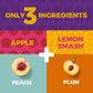 Fruit Snacks by Zest Delites, Fruit Leather, Healthy Snacks for Adults, Dried Fruit Bars, Gluten Free Fruit Strips, Vegan Health