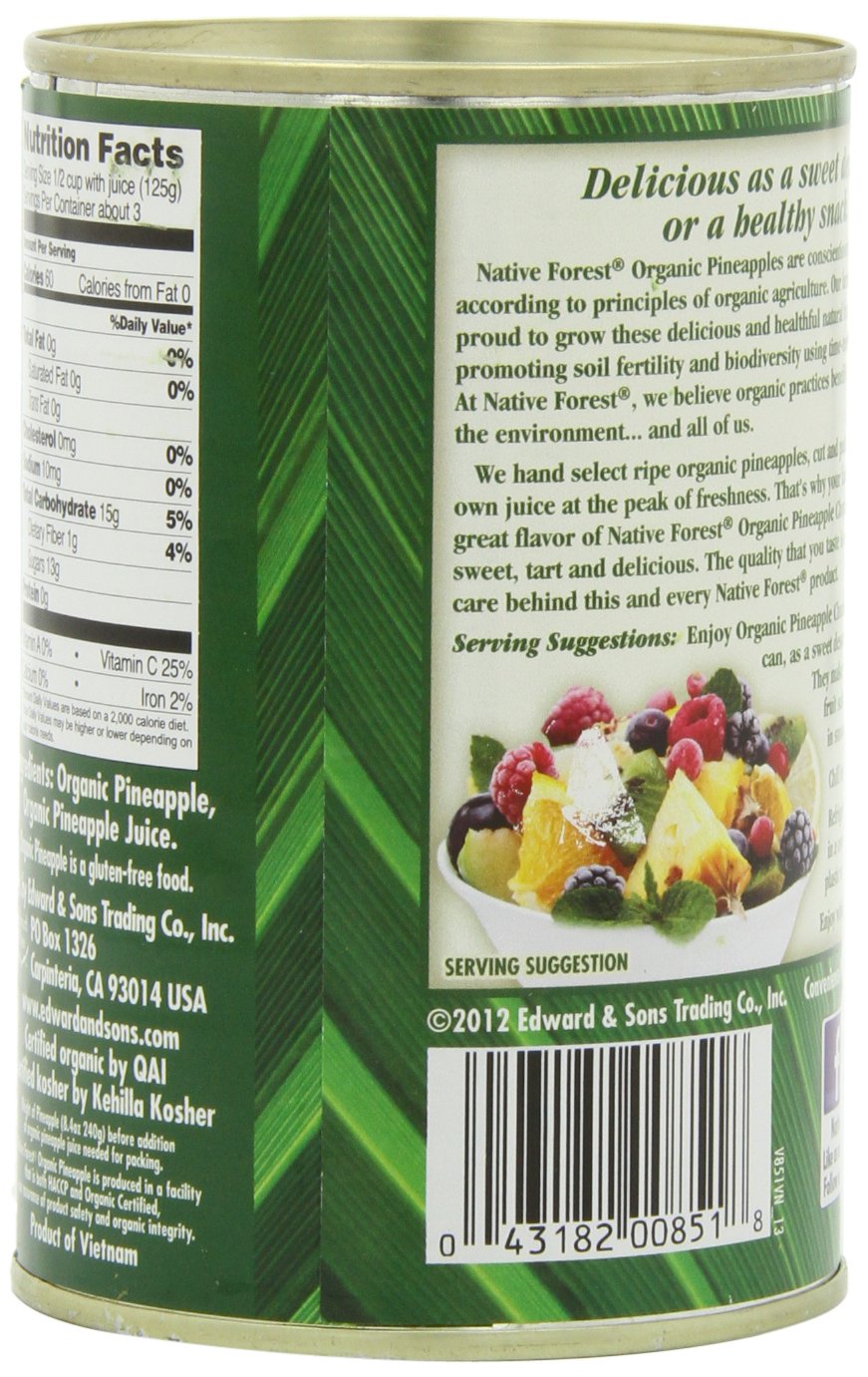 Native Forest Organic Pineapple Chunks - Canned Pineapple Chunks In Juice, Canned Fruit, Pineapple Canned, Pineapple Juice - 14 Ounce (Pack Of 6)